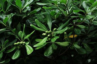 3DM速报：重生宣布《泰坦陨落》永久停售 《Mirror 2》上架Steam