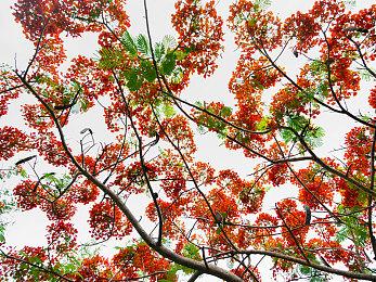 GOG喜加一：免费领取冒险游戏《王国英雄2》